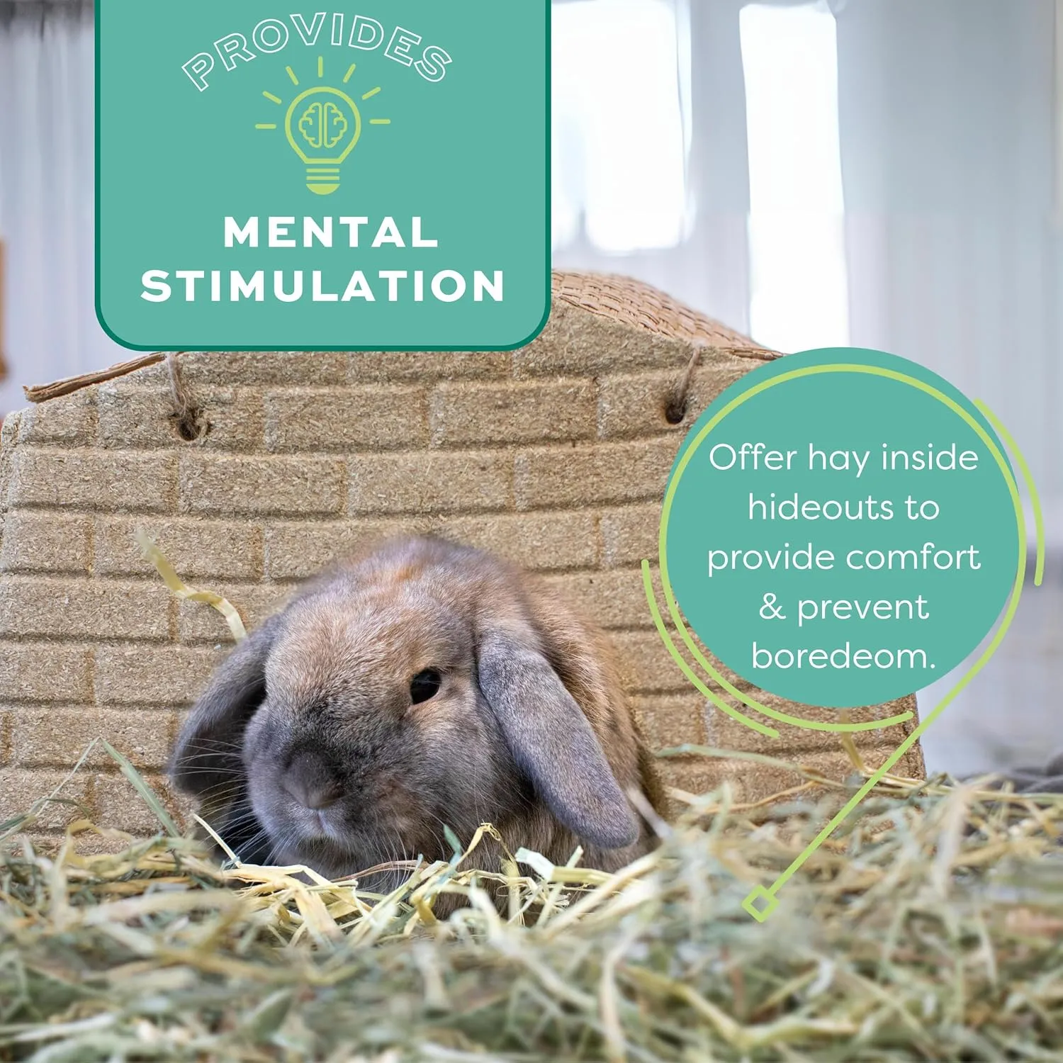 Oxbow Animal Health Orchard Grass, Guinea Pig Hay, Rabbit Hay, Small Pet Bunny Supplies, All Natural Grass for Guinea Pig, Bunny, Chinchilla & Hamster, Oxbow Rabbit Supplies, Grown in USA, 25 lb.