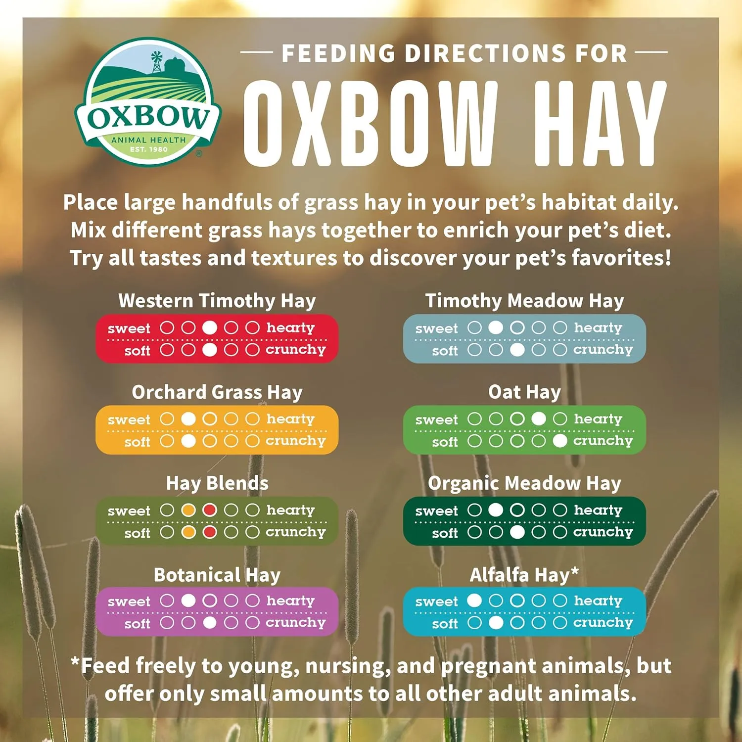 Oxbow Animal Health Organic Meadow Hay, Guinea Pig & Rabbit Hay, Small Pet Bunny Supplies, All Natural Grass for Guinea Pig, Bunny, Chinchilla & Hamster, Rabbit Supplies for Bunnies, 40 oz Bag