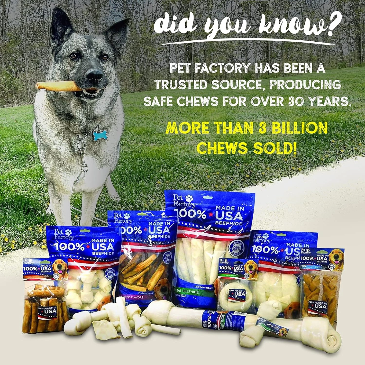 Pet Factory 100% Made in USA Beefhide 4-5" Knotted Bones Dog Chew Treats - Natural Flavor, 8 Count/1 Pack