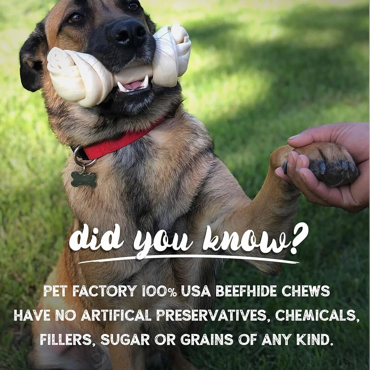 Pet Factory 100% Made in USA Beefhide 4-5" Knotted Bones Dog Chew Treats - Natural Flavor, 8 Count/1 Pack