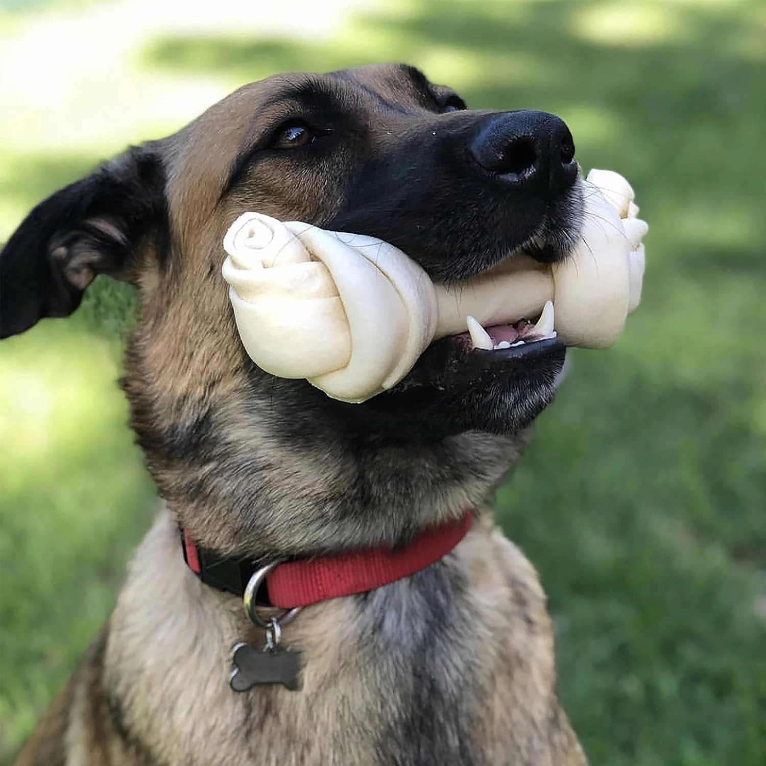Pet Factory 100% Made in USA Beefhide 4-5" Knotted Bones Dog Chew Treats - Natural Flavor, 8 Count/1 Pack