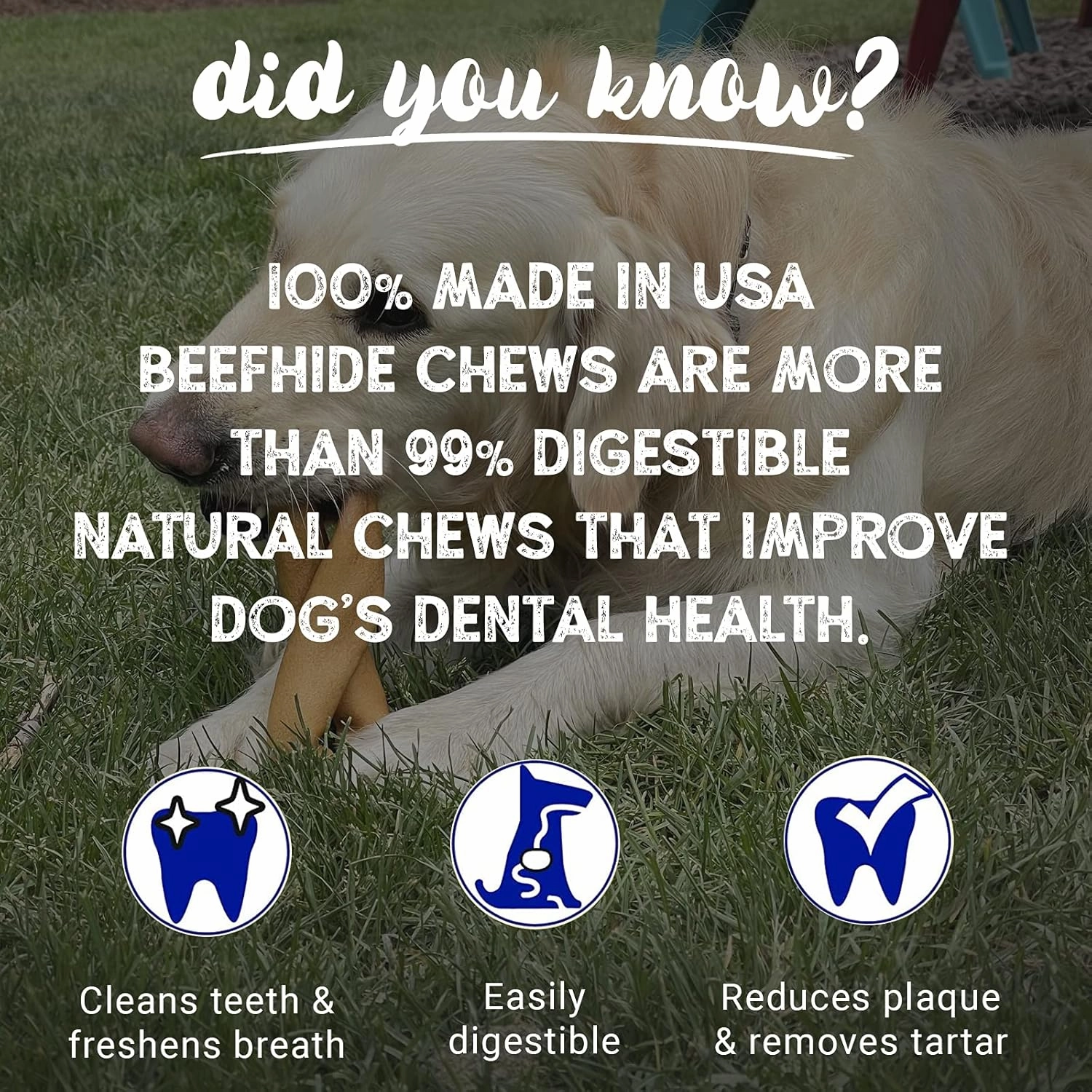 Pet Factory 100% Made in USA Beefhide 4-5" Knotted Bones Dog Chew Treats - Natural Flavor, 8 Count/1 Pack