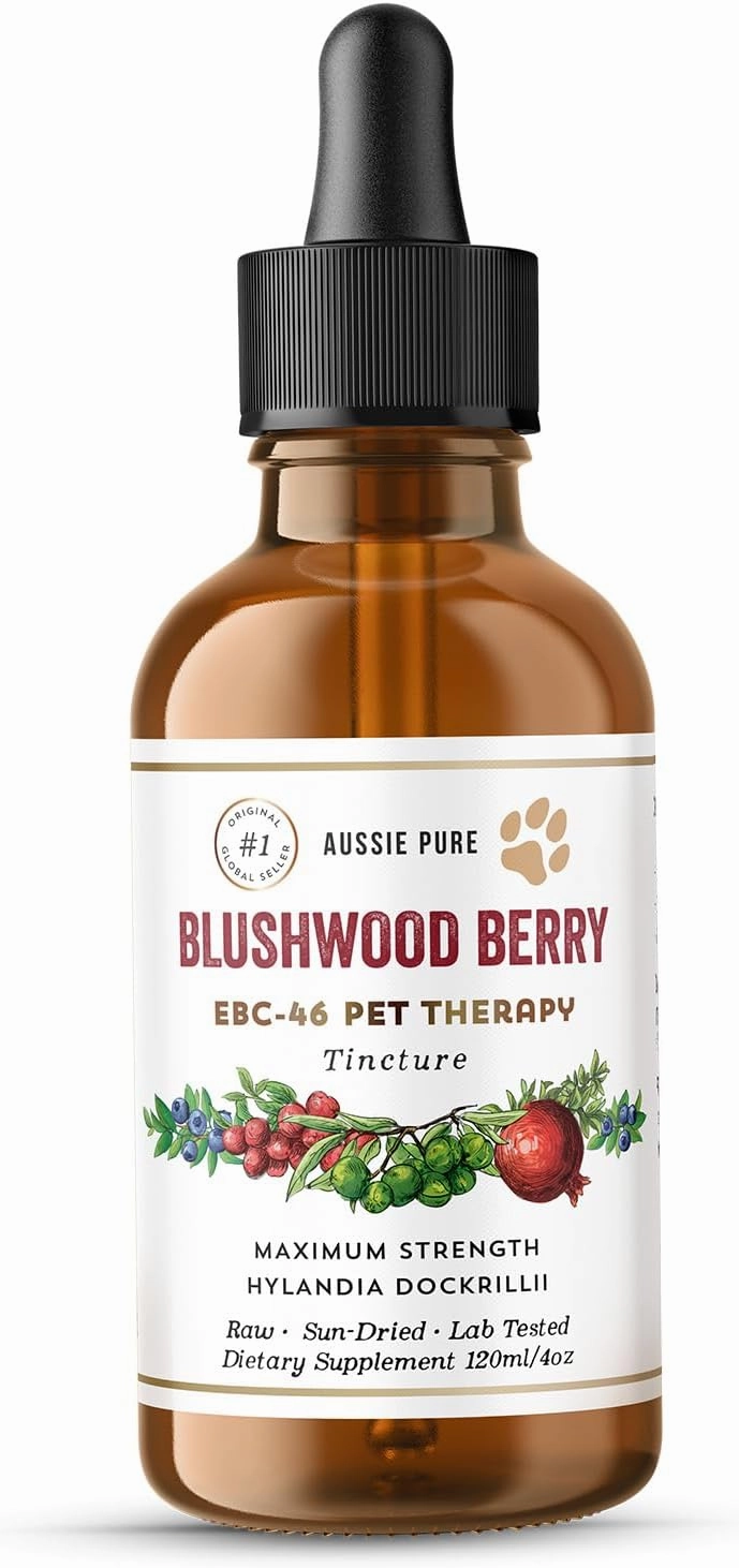 Pet Therapy Blushwood Berry EBC-46 Tincture - 120ML - Maximum Strength - Lab Tested and Certified - Gentle, Oral and Topical Alcohol-Free Formula - Immune and Cell Support