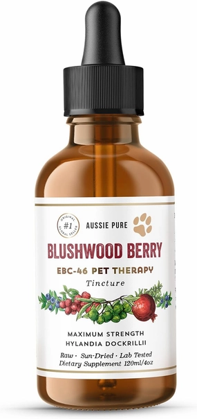 Pet Therapy Blushwood Berry EBC-46 Tincture - 120ML - Maximum Strength - Lab Tested and Certified - Gentle, Oral and Topical Alcohol-Free Formula - Immune and Cell Support