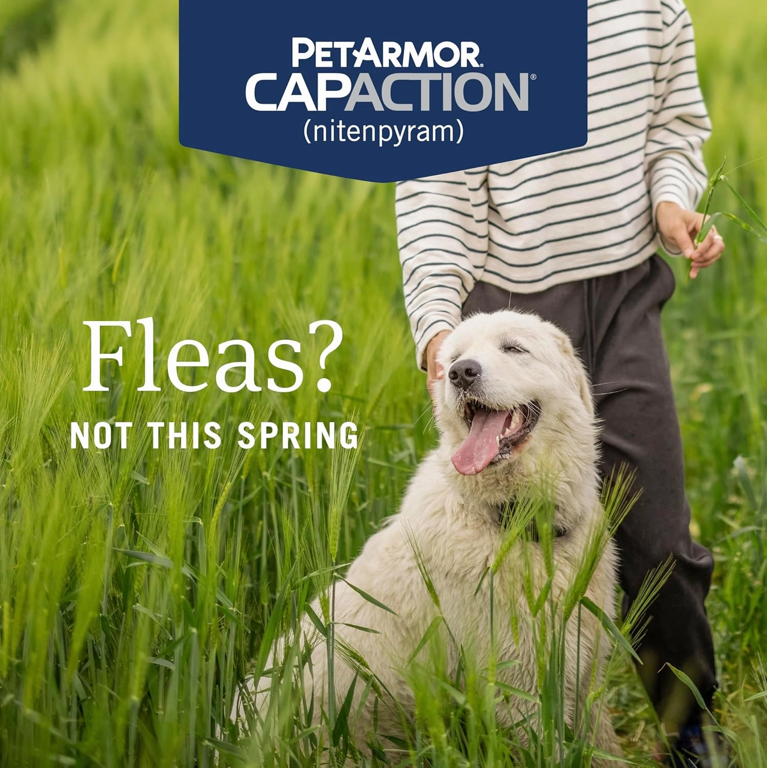 PetArmor CAPACTION (nitenpyram) Oral Flea Treatment for Dogs, Fast Acting Tablets Start Killing Fleas in 30 Minutes, Dogs Over 25 lbs, 6 Doses