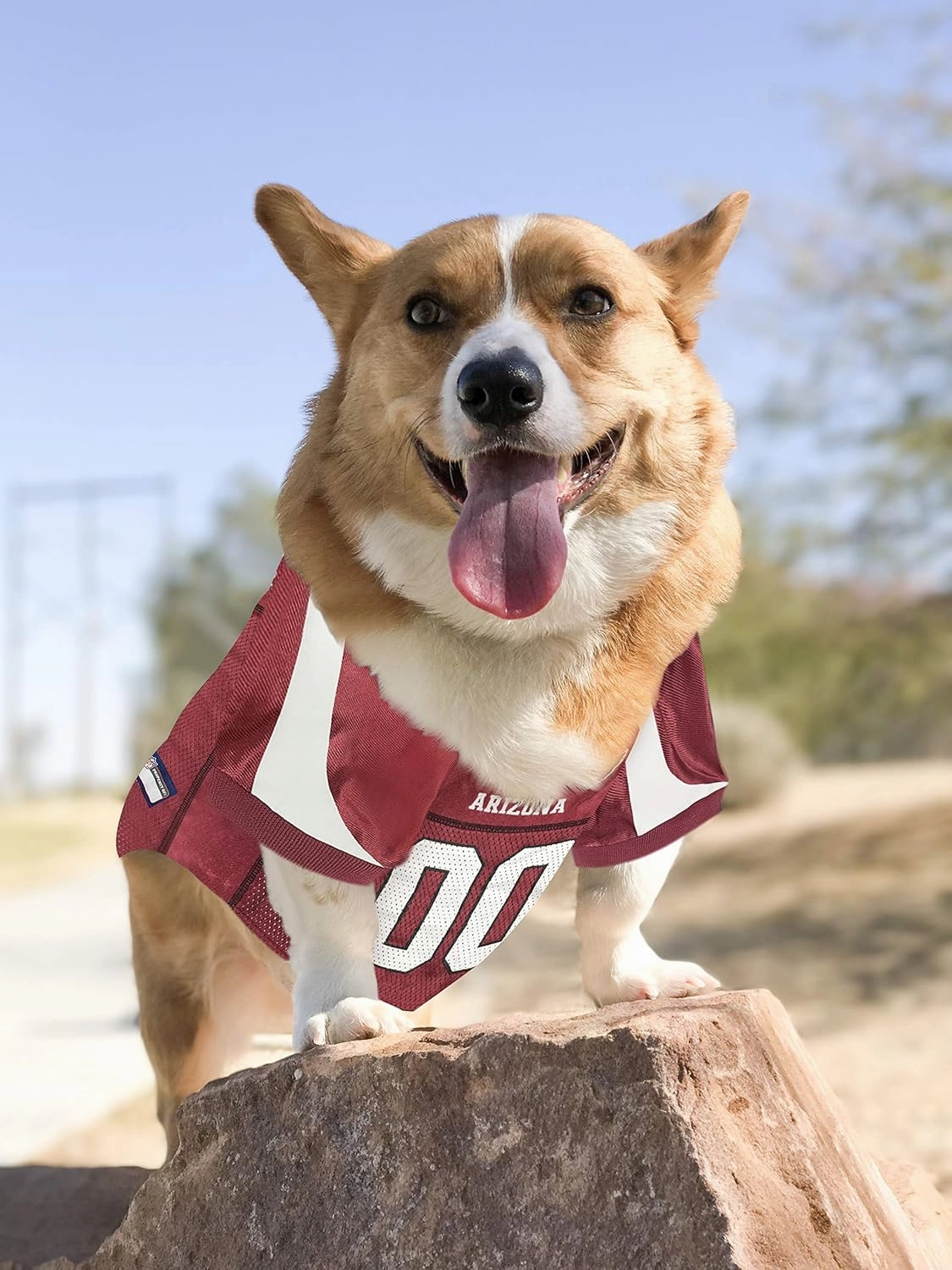 Pets First NFL Arizona Cardinals Dog Jersey, Medium. Best Football Jersey Costume for Dogs & Cats. Licensed Shirt