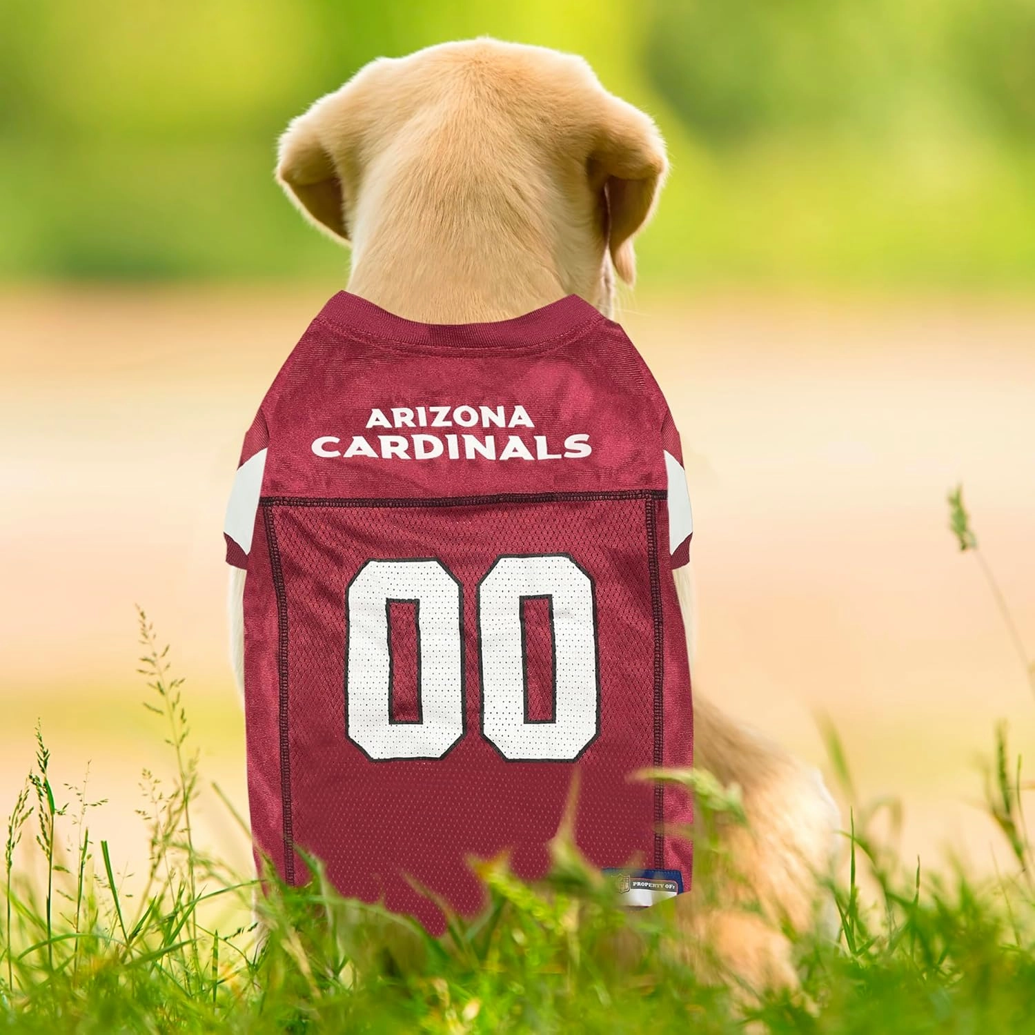 Pets First NFL Arizona Cardinals Dog Jersey, Medium. Best Football Jersey Costume for Dogs & Cats. Licensed Shirt