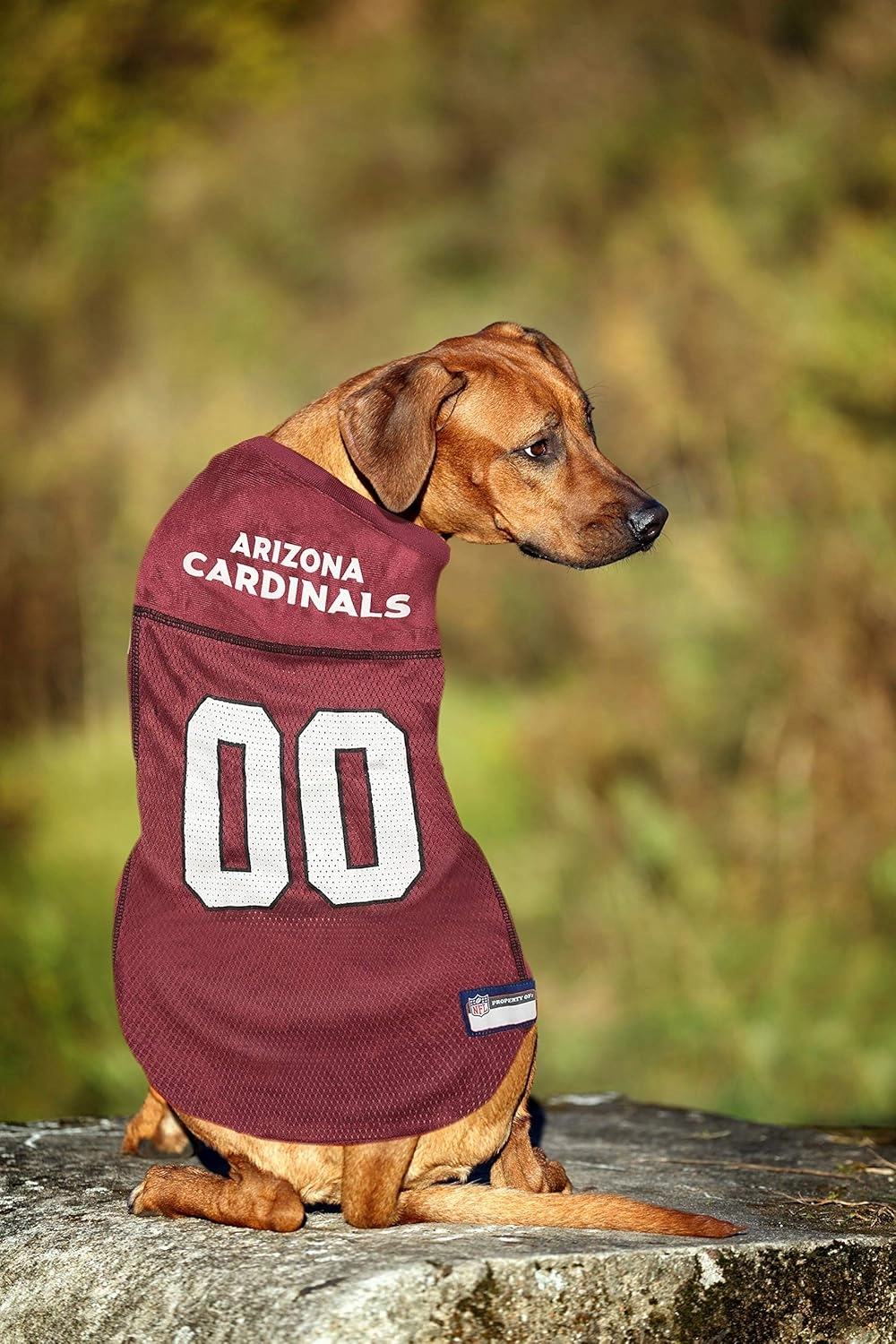 Pets First NFL Arizona Cardinals Dog Jersey, Medium. Best Football Jersey Costume for Dogs & Cats. Licensed Shirt