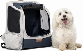 PetSafe Happy Ride Backpack Pet Carrier - Perfect for Dogs & Cats up to 20lbs - Mesh Windows for Comfortable Travel - Harness Tether for Safety - Easy Access Treat Opening - Can be Secured in The Car