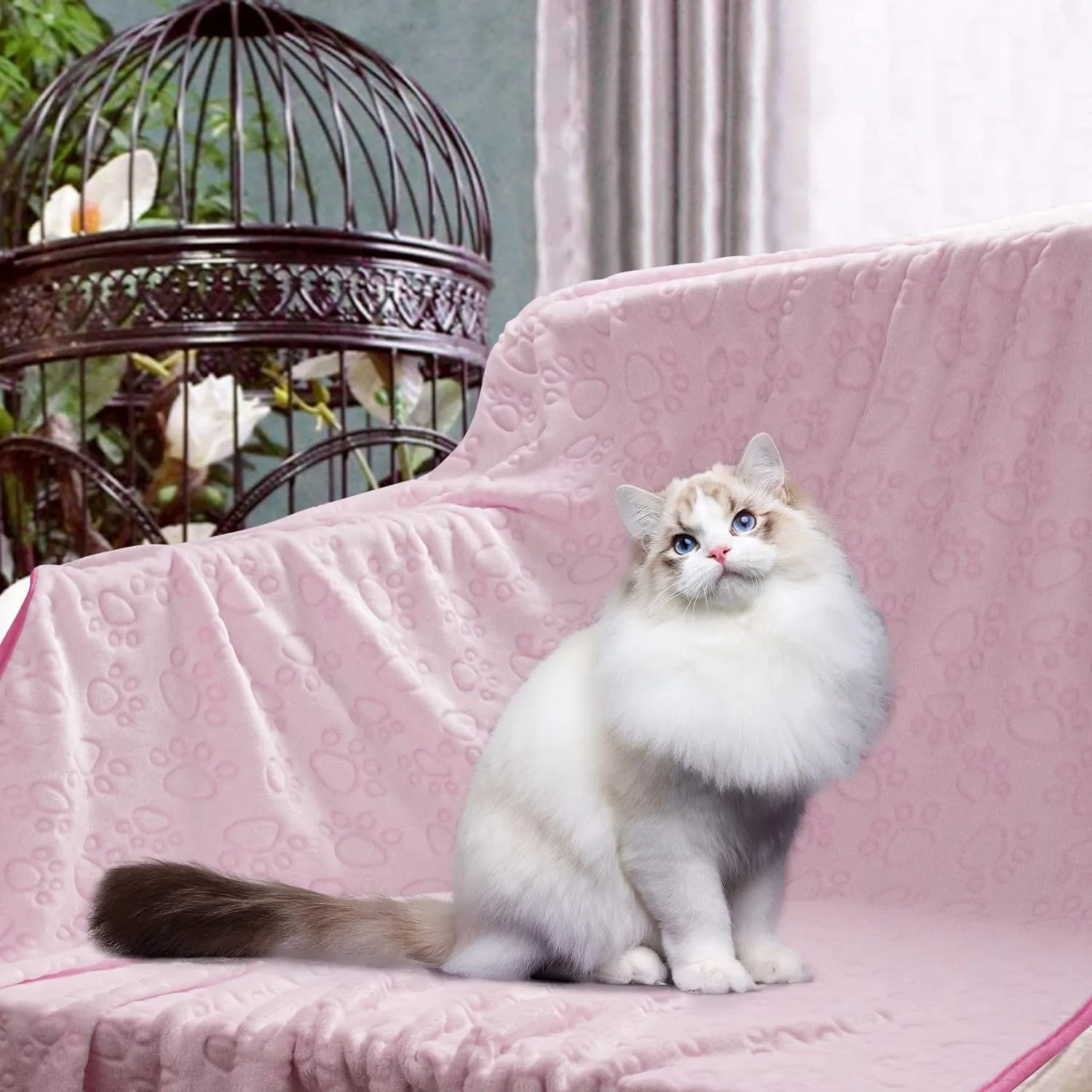 Pink Blanket for Dog Accessories Girl, Pink Stuff for Small Puppy Kitten Indoor Cats, Washable Soft Dog Blanket Supplies