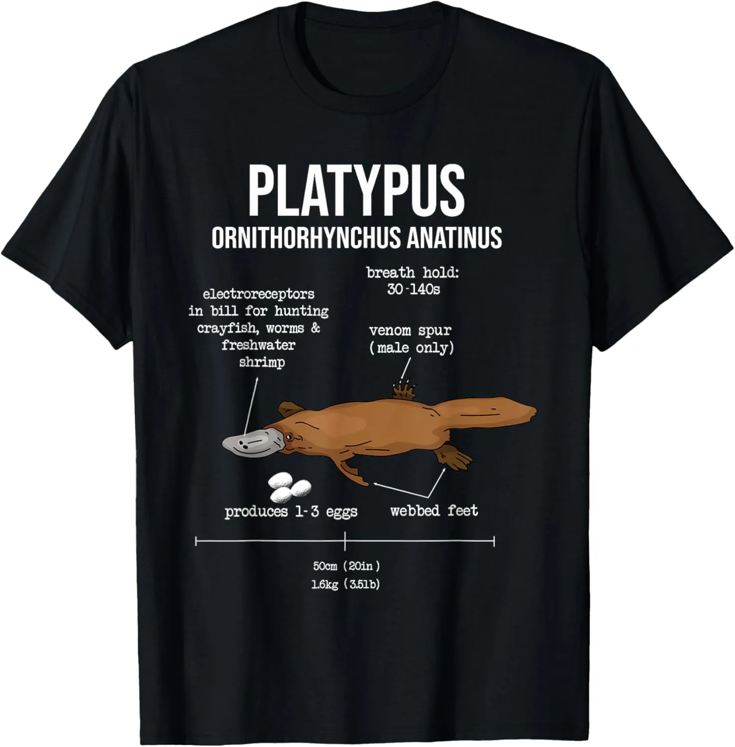 Platypus Anatomy And Facts Platypus T-Shirt