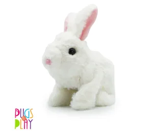Pugs at Play Jumping Rabbit