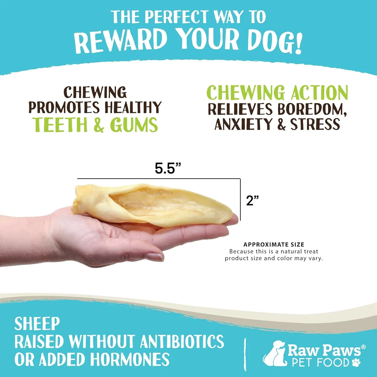 Raw Paws Lamb Ears for Dogs (30 Pack) - Packed in USA - Crunchy Lamb Dog Treats - Single Ingredient, Natural Rawhide Alternative Dog Chews - Preservative & Additive Free