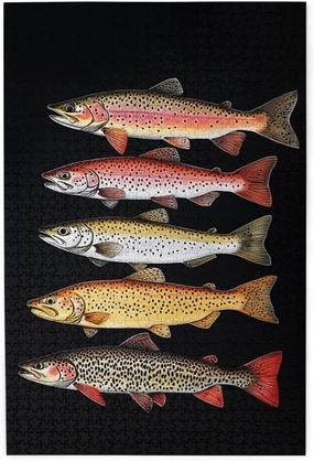 Retro Style Brainstorming Game, Different Varieties of Fish, Puzzles for Adults 1000 Pieces, Stress Reliever for Parties, Impossible Brain Challenge for Fishing Enthusiasts