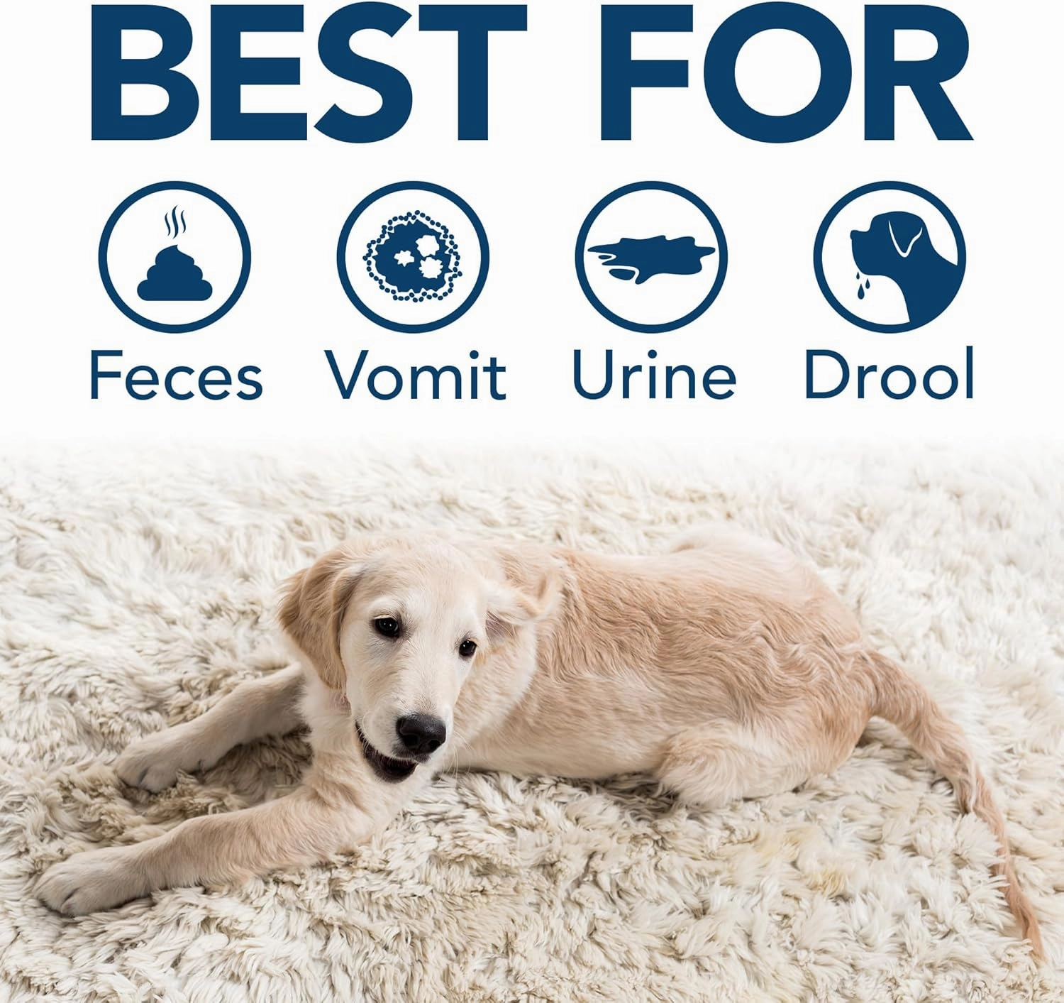 Simple Solution Extreme Pet Stain and Odor Eliminator Spray for Dogs and Cats, Enzymatic Cleaner with 3X Pro-Bacteria Cleaning Power, Strong Urine Pee & Poop Stain Remover, Spring Breeze, 1 Gal