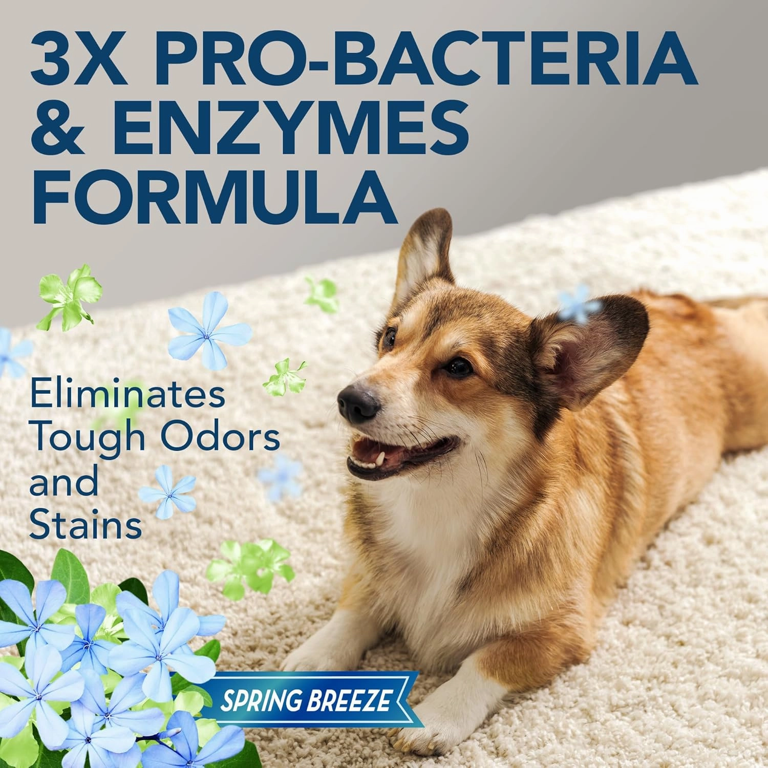 Simple Solution Extreme Pet Stain and Odor Eliminator Spray for Dogs and Cats, Enzymatic Cleaner with 3X Pro-Bacteria Cleaning Power, Strong Urine Pee & Poop Stain Remover, Spring Breeze, 1 Gal
