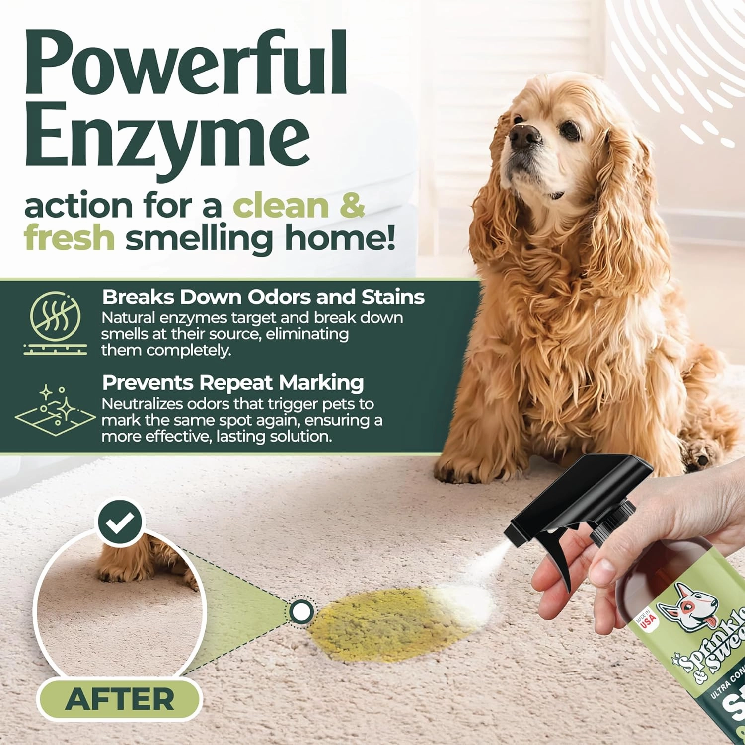 Sprinkle & Sweep Pet Stain and Odor Remover - Super Concentrated Pet Odor Eliminator for Home - No Scrubbing Dog & Cat Urine Enzyme Cleaner Destroyer - Carpet Cleaner for Multiple Surfaces (24 oz)