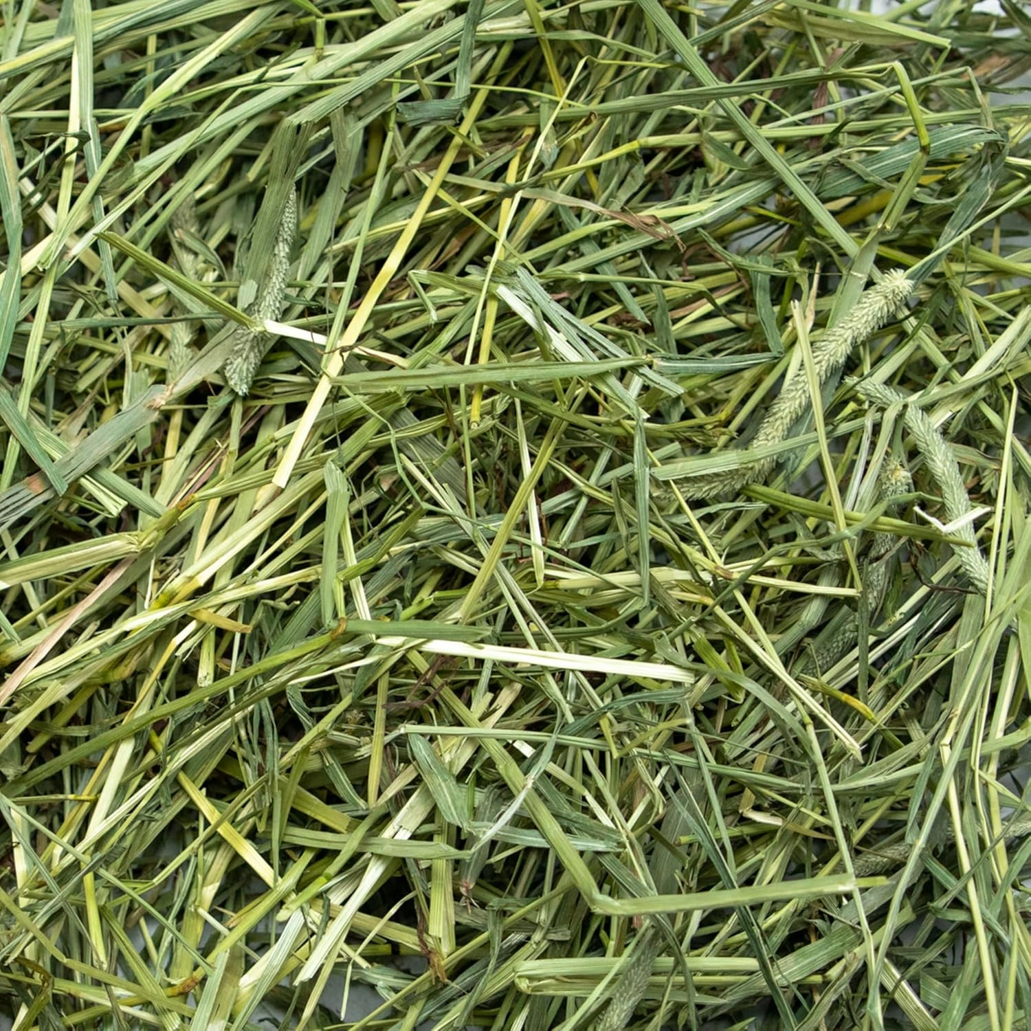 Ultra Premium Coarse Timothy Hay for Small Pets - 5 lb Box - Hand-Selected