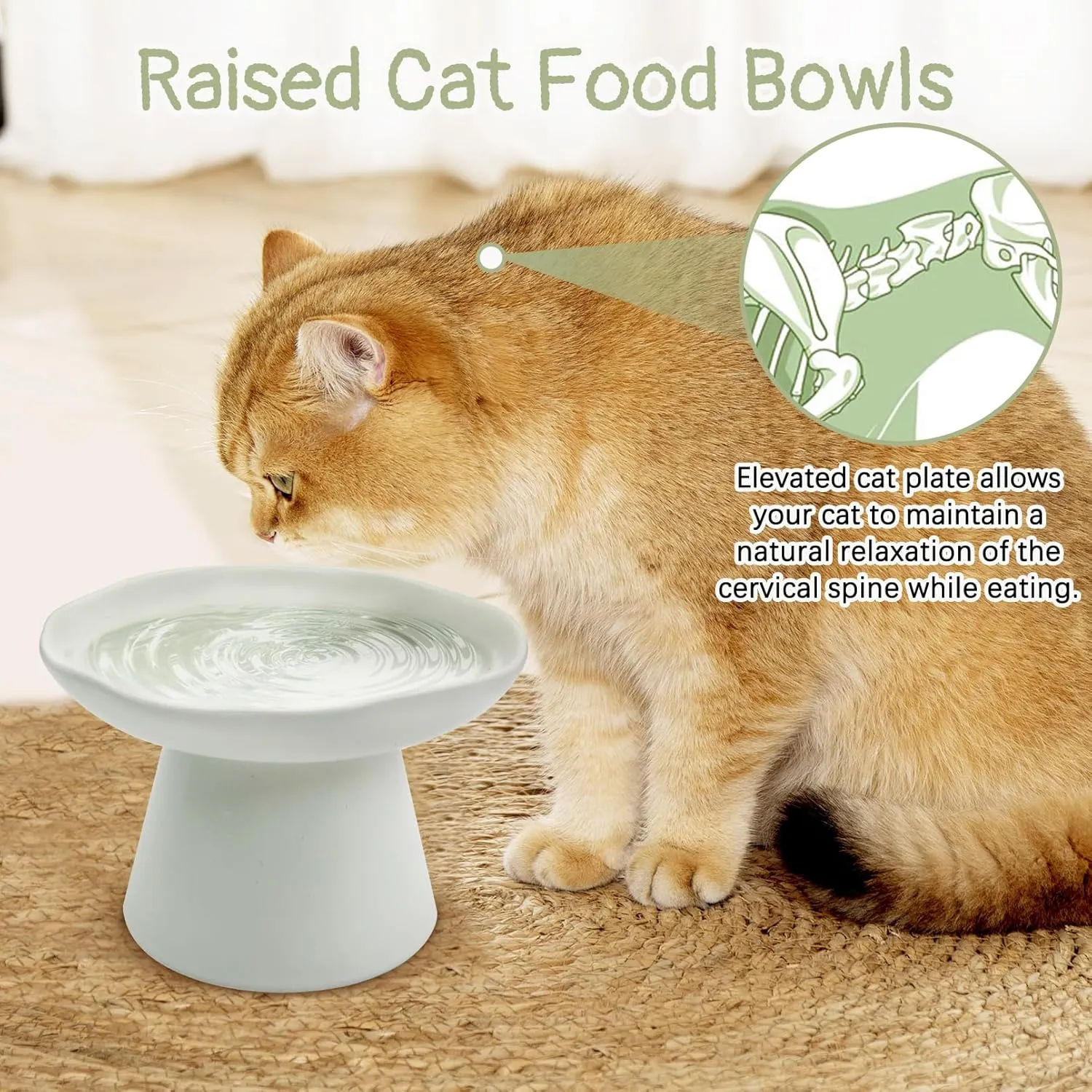 VCEPJH Raised Cat Food Bowls Shallow Cat Plate Ceramic Elevated Cats Dish 6.1in Flat Anti Whisker Fatigue Wide Pet Food & Water Feeder for Indoor Kitty Kitten (White)