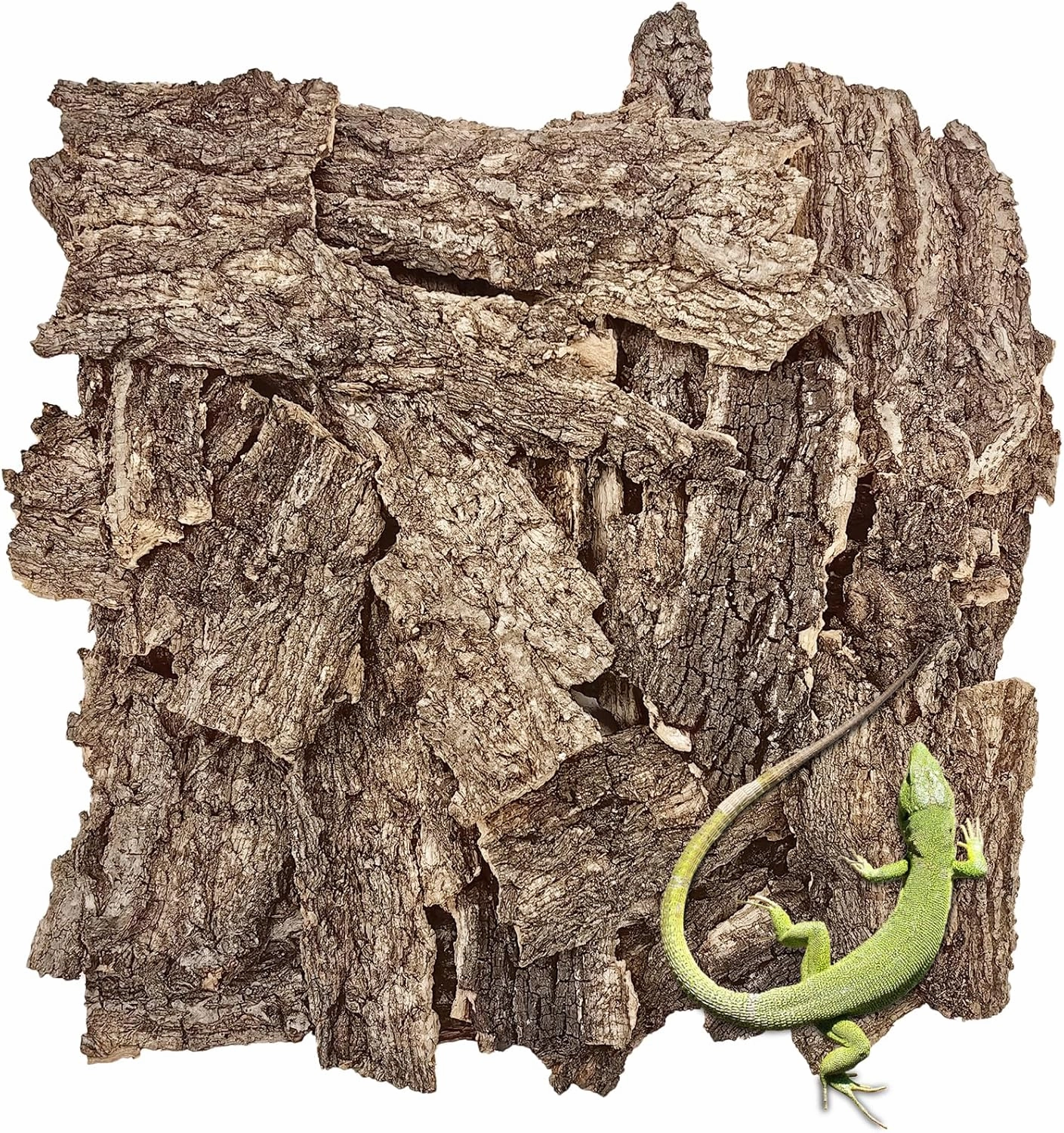 VCEPJH Reptile Bark Bedding,2 LB Natural Cork Bark for Reptiles Flat Cork Wood Terrarium Substrate Tank Supplies for Snake Spiders Bearded Dragons Hermit Crabs Geckos