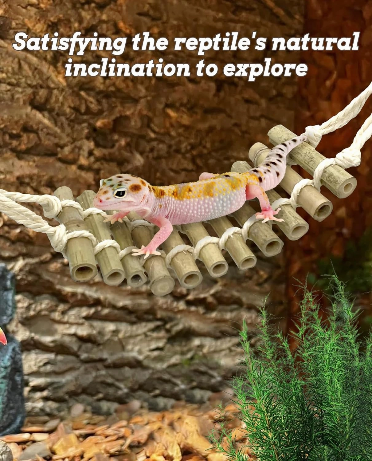 VCEPJH Reptile Bridge 2 Pack Leopard Gecko Climbing Ladder Bamboo Basking Lounger Reptile Tank Accessories for Hermit Crab Juvenile Bearded Dragon Chameleon Small Lizard Tree Frog and Turtle