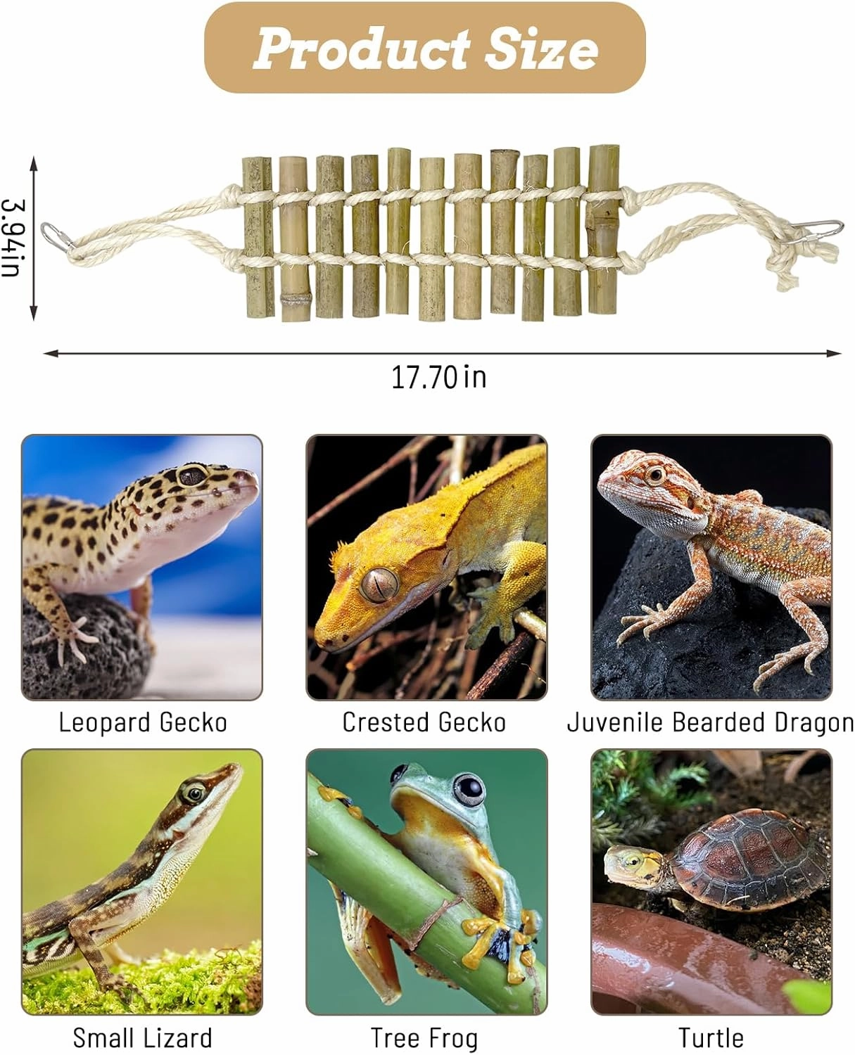 VCEPJH Reptile Bridge 2 Pack Leopard Gecko Climbing Ladder Bamboo Basking Lounger Reptile Tank Accessories for Hermit Crab Juvenile Bearded Dragon Chameleon Small Lizard Tree Frog and Turtle