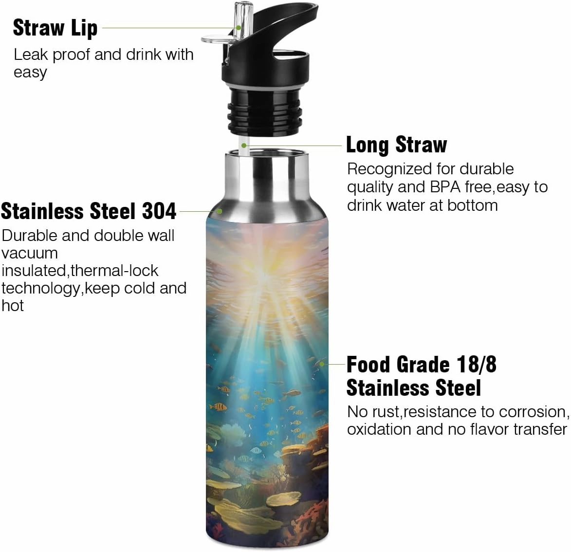 Water Bottle Stainless Steel, Ocean Underwater World Insulated Sports Bottle with Straw, BPA Free Reusable Bottles for Fitness, Travel & Outdoor Activities