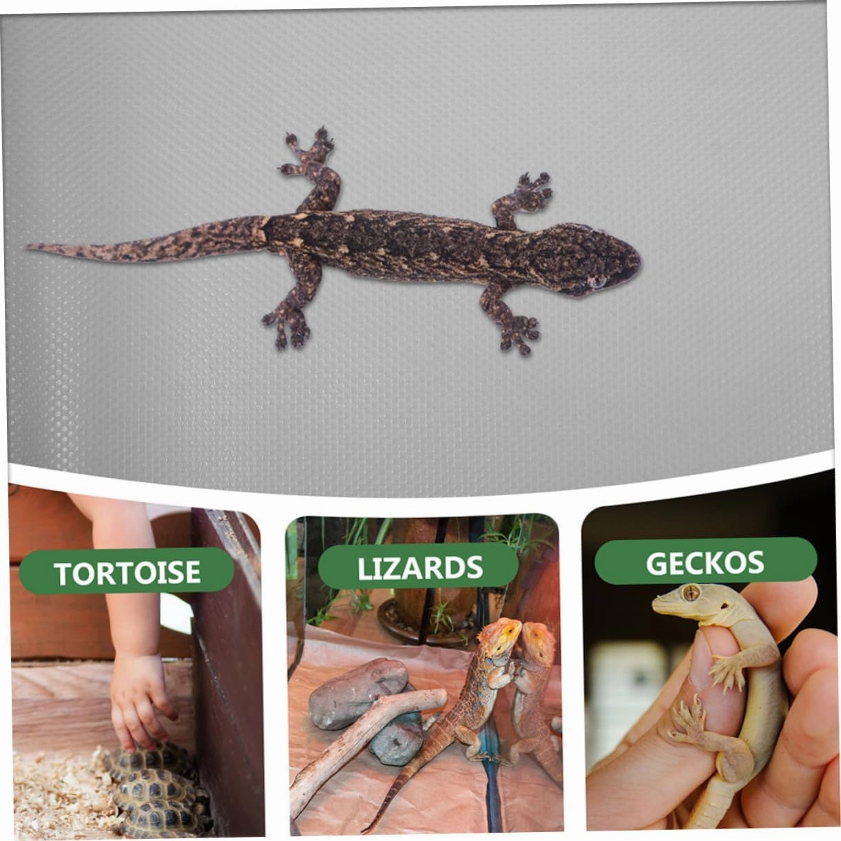 YARNOW Bearded Dragon Tank Mat Reptile Carpet Snake Bedding Eva Mat Nonslip Surface for Reptile Cage