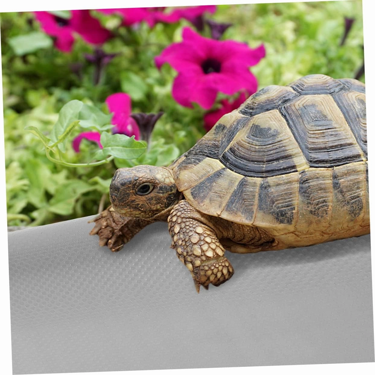 YARNOW Bearded Dragon Tank Mat Reptile Carpet Snake Bedding Eva Mat Nonslip Surface for Reptile Cage