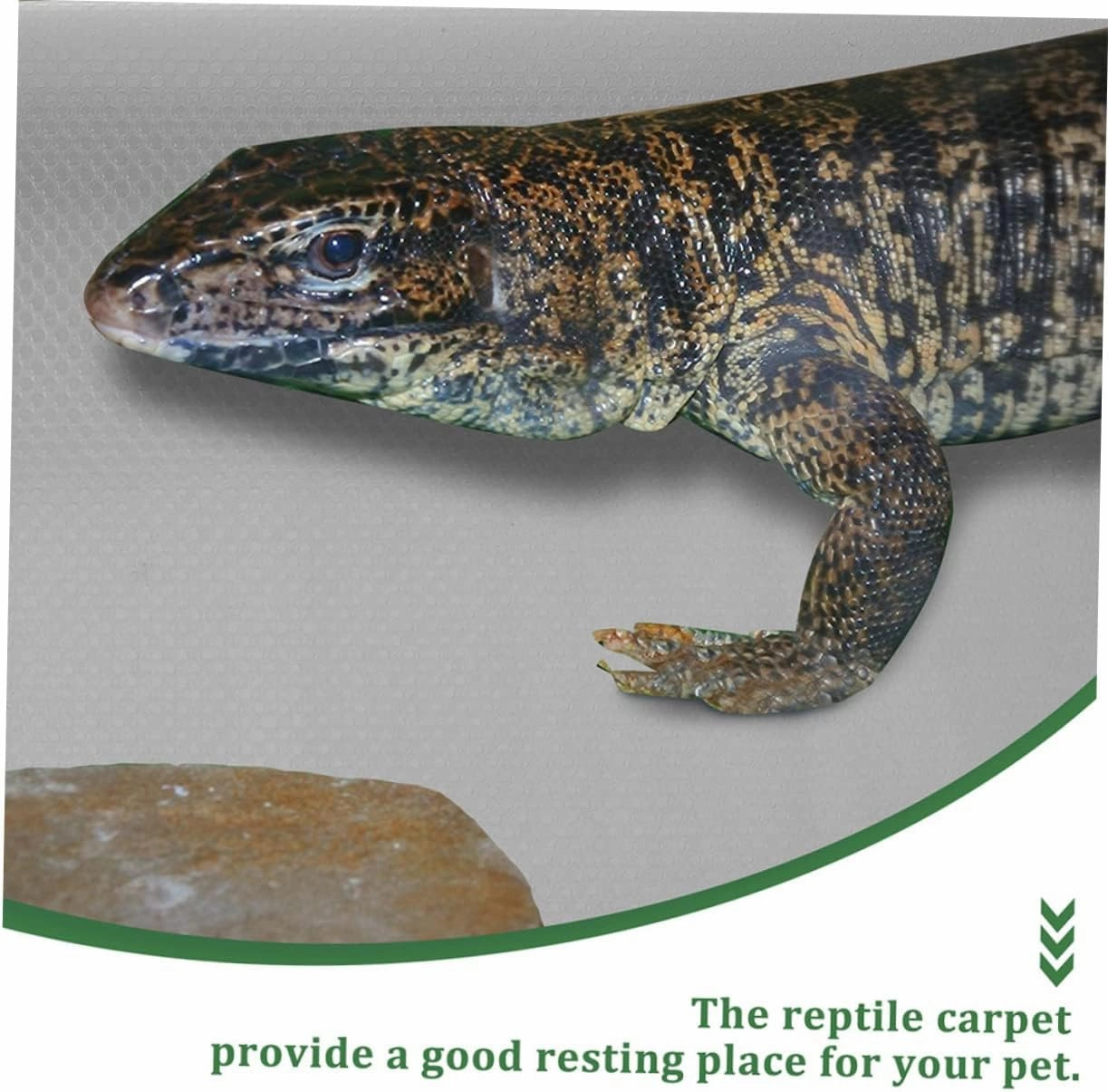 YARNOW Bearded Dragon Tank Mat Reptile Carpet Snake Bedding Eva Mat Nonslip Surface for Reptile Cage